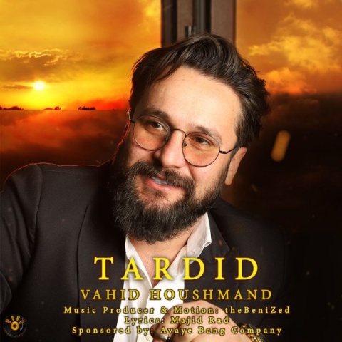 وحید هوشمند تردید