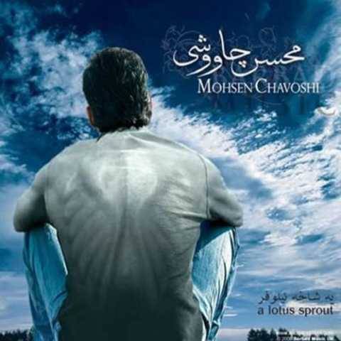 محسن چاوشی بغض