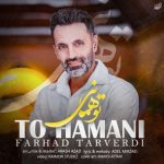 دانلود آهنگ فرهاد تاروردی به نام تو همانی
